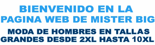 Bienvenido a misterbig.es - tallas grandes para hombres